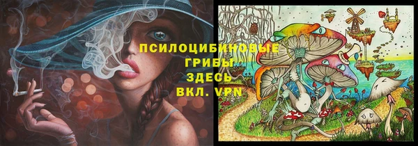 бутират Мегион