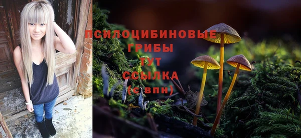 марки lsd Осташков